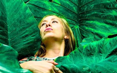 Recuerda, Eres Naturaleza