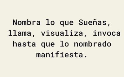 Despierta, observa
